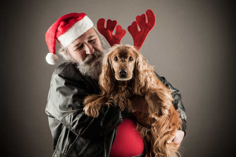 戴着圣诞帽的老人抱着戴着鹿角的可卡犬