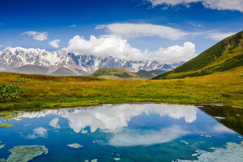 美丽的高山草甸风景