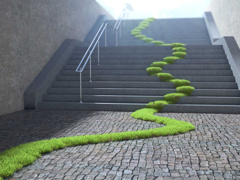 楼梯上蜿蜒的绿色植物