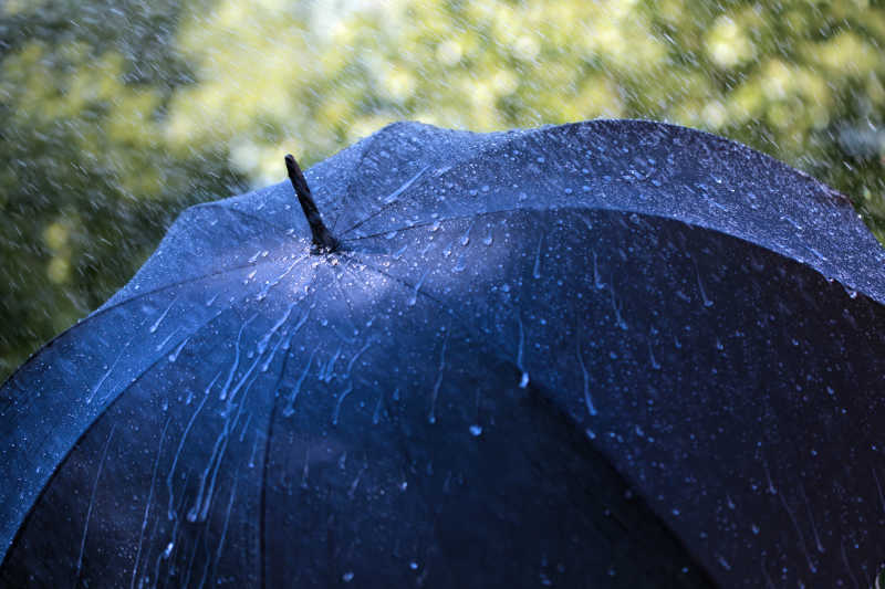 雨中的伞