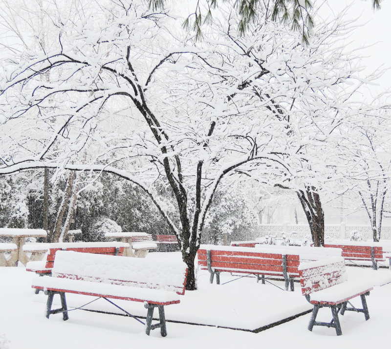 大雪纷飞的公园