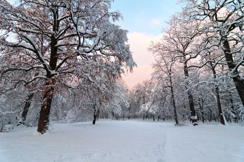 白雪皑皑的公园