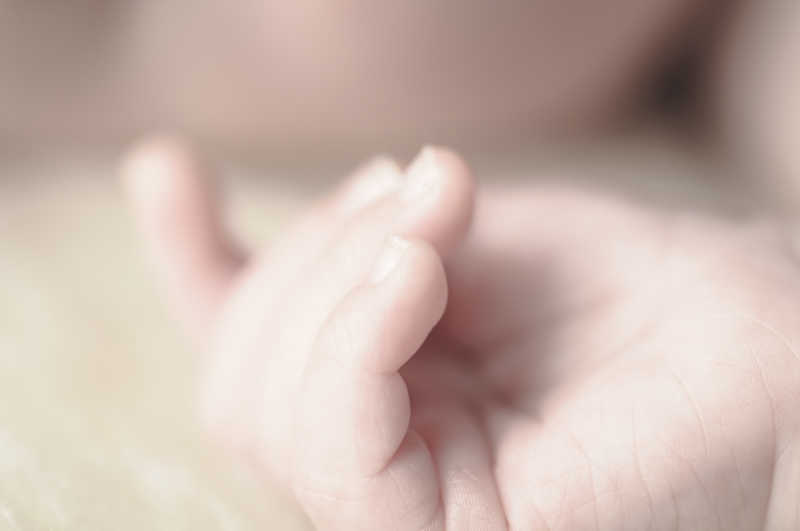 可爱的小宝宝的柔软的小手和手指