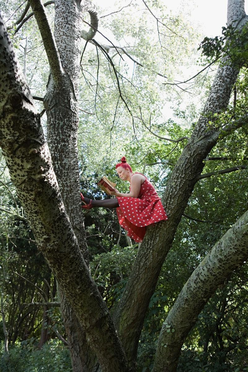 在树上读书的女人