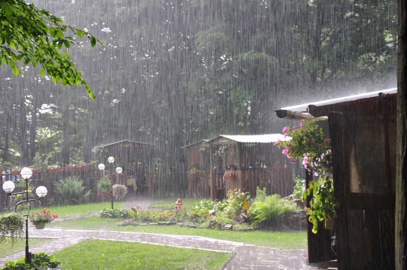 下雨时的花园景色