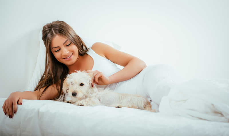 美丽的年轻女子和她的狗在床上休息