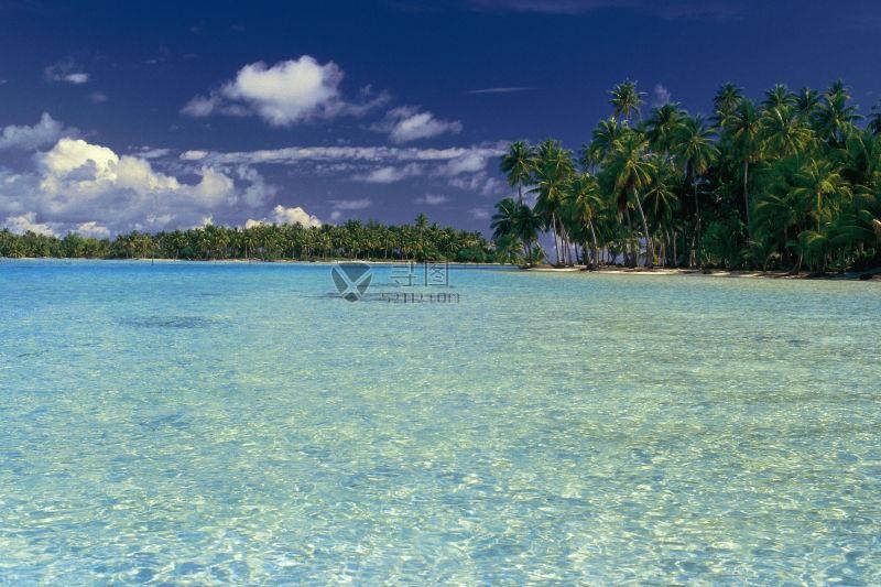 清澈湛蓝的海水和热带沙滩上的棕榈树