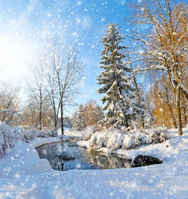 冬天的雪景