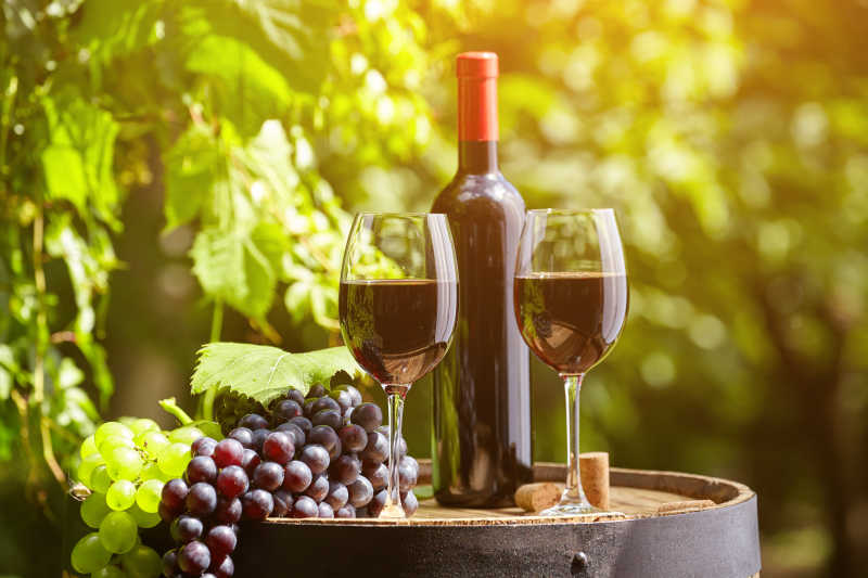 葡萄园旁的葡萄酒与葡萄