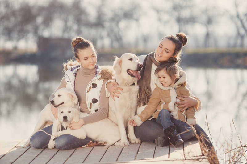 秋季公园里玩耍的狗狗和幸福家庭