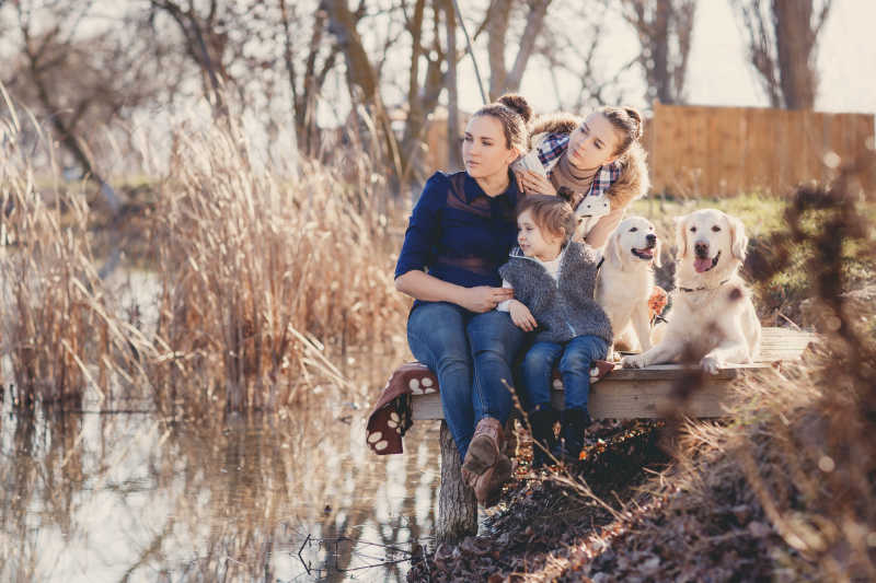 湖边木桥上放松的狗狗和幸福家庭