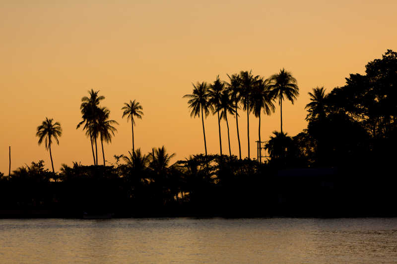 浪漫日落海滩棕榈树