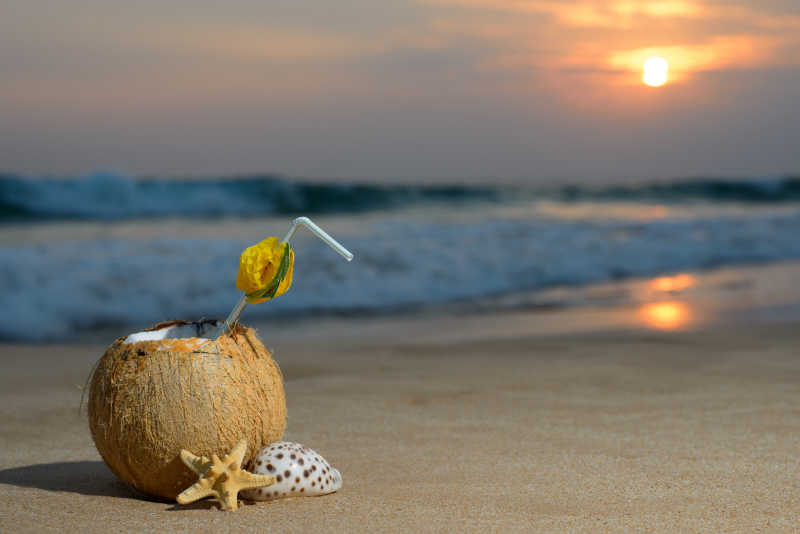 黄昏时分沙滩上的椰子