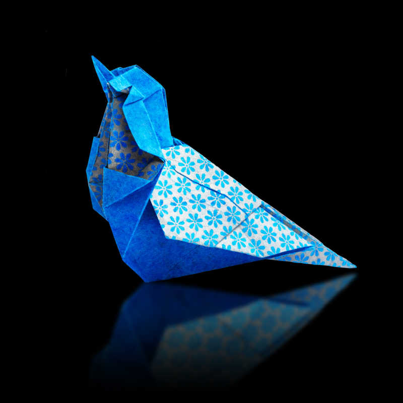 一只折纸的小蓝鸟