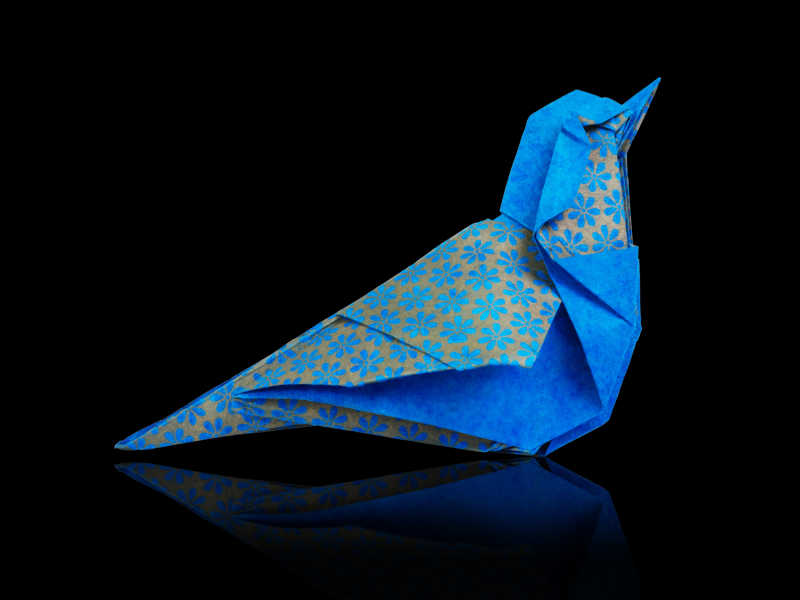 一只纸折的蓝色小鸟