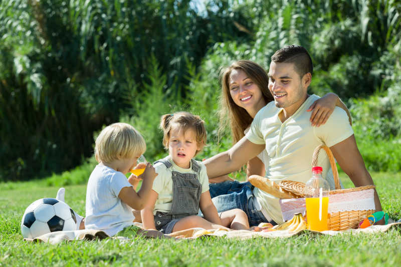 在公园草地上开心野餐的年轻家庭