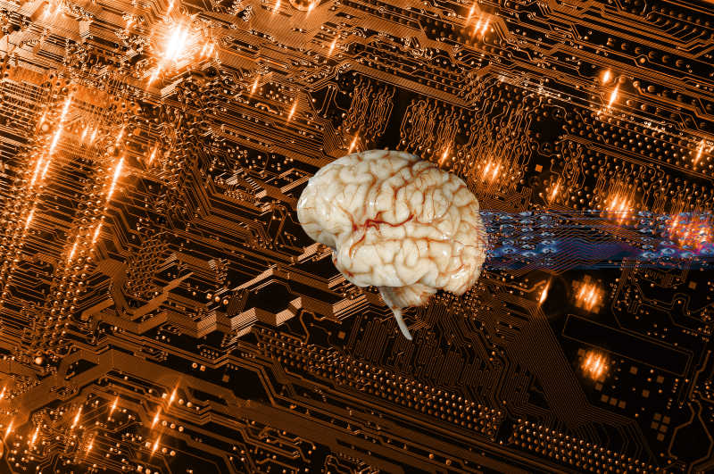 人类大脑与未来通讯