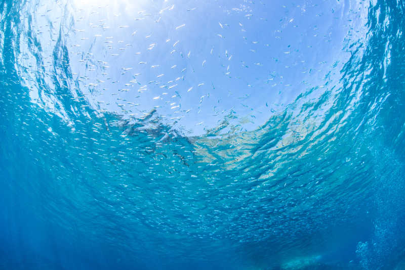 水下拍湖面纹理