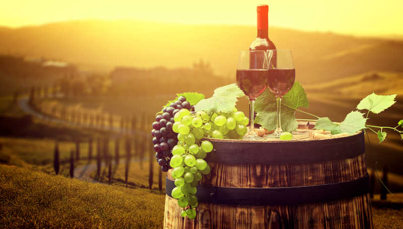 黄昏下的葡萄与葡萄酒