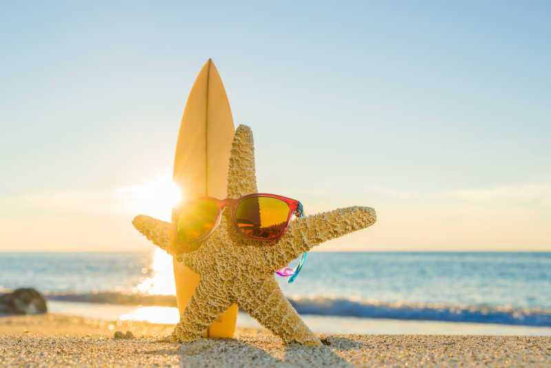 海滩上戴太阳镜的海星