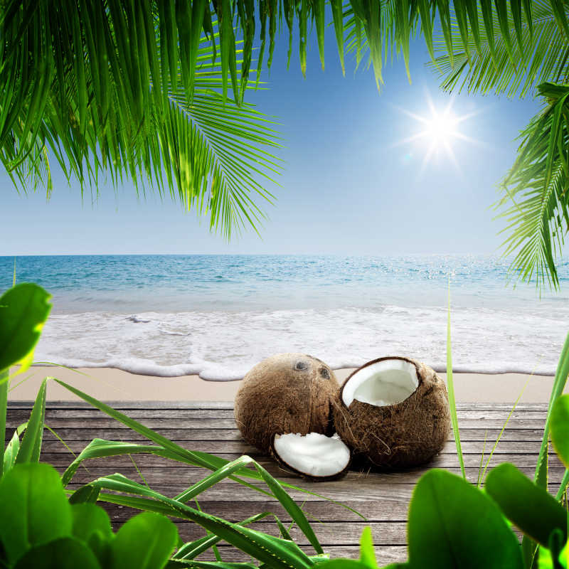 热带环境中的椰子