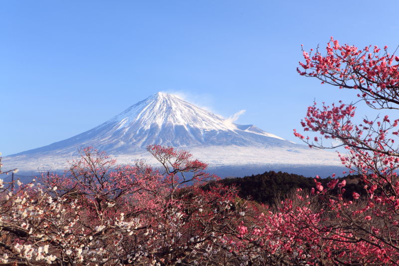 远处的富士山