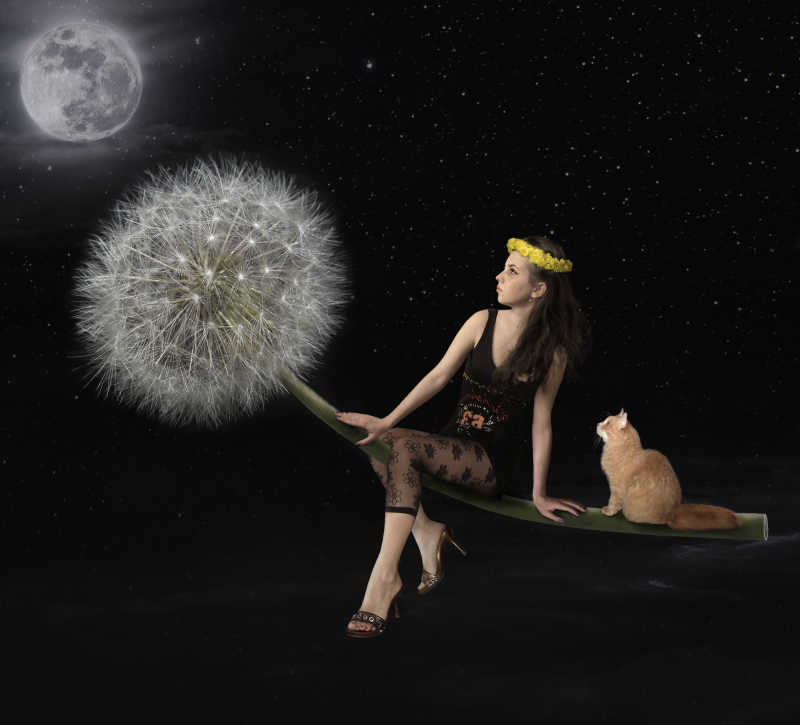 一个女孩和她的猫在蒲公英上飞翔