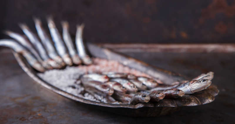生锈的桌上盘子里摆放整齐的鳀鱼和颗粒状调味料