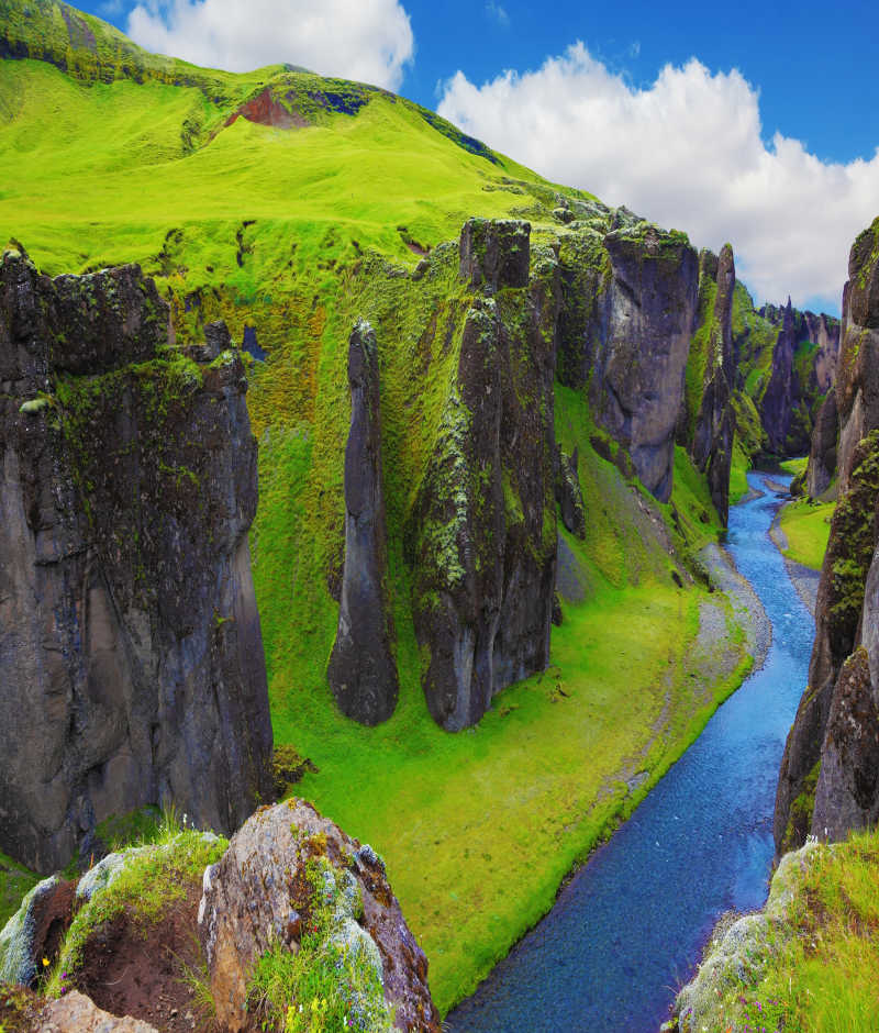 长满绿草和苔藓的河谷风景