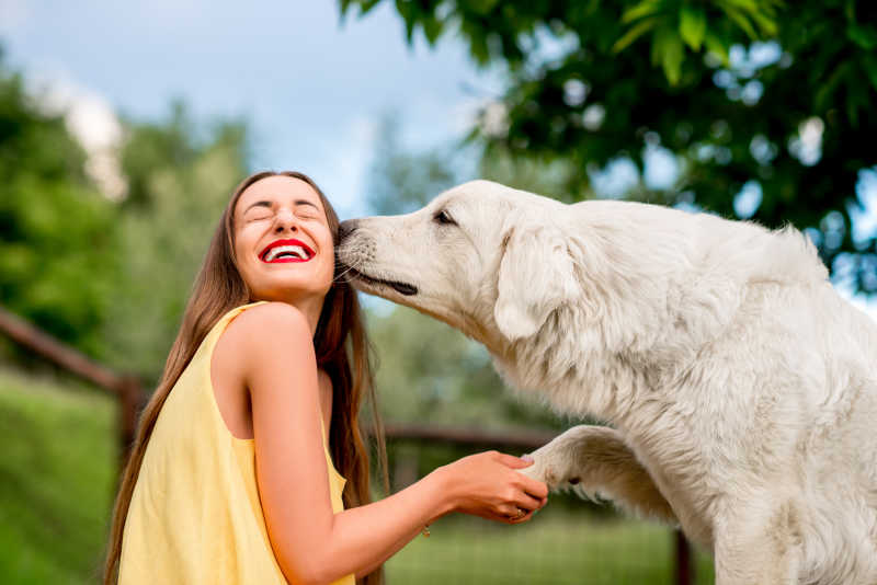 年轻的女孩与大型的白色狗狗