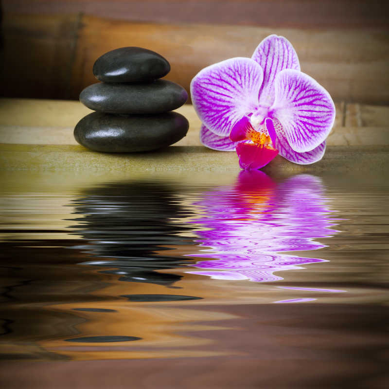 温泉石与兰花