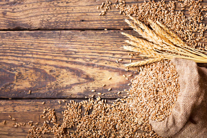 旧木板上的散落的小麦籽粒和一束小麦穗