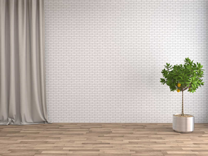 室内木质地板上的绿植和砖墙