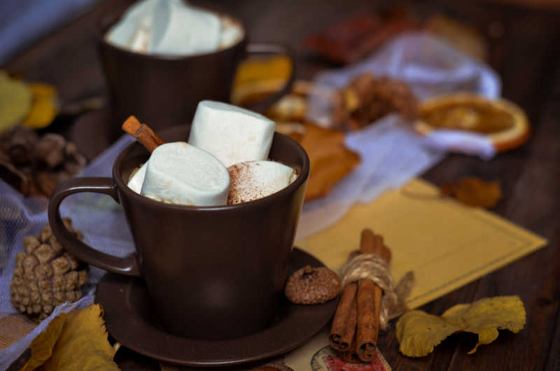 一杯热巧克力和一杯带棉花糖的咖啡