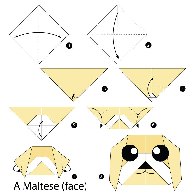 折纸马耳他狗步骤的矢量图解