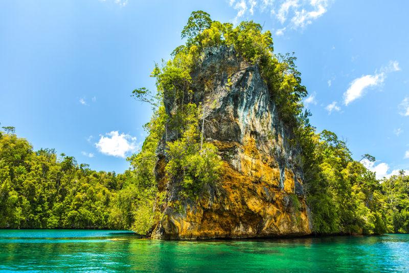 绿色的海洋自然风景