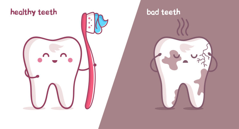 矢量健康牙齿和蛀牙