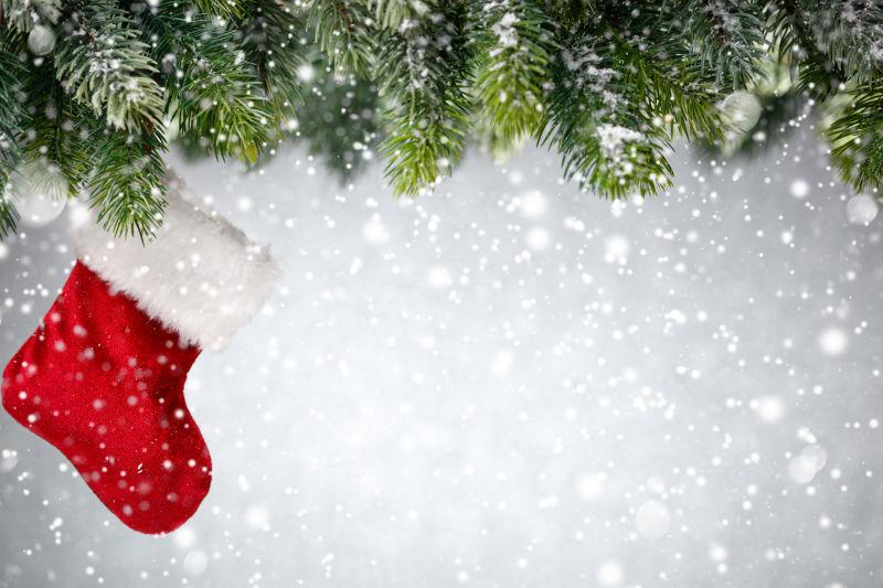 雪堆里的圣诞树的红袜装饰