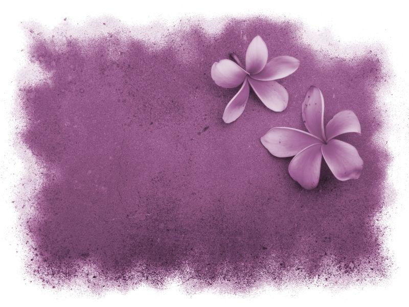 紫色背景下的紫色花朵