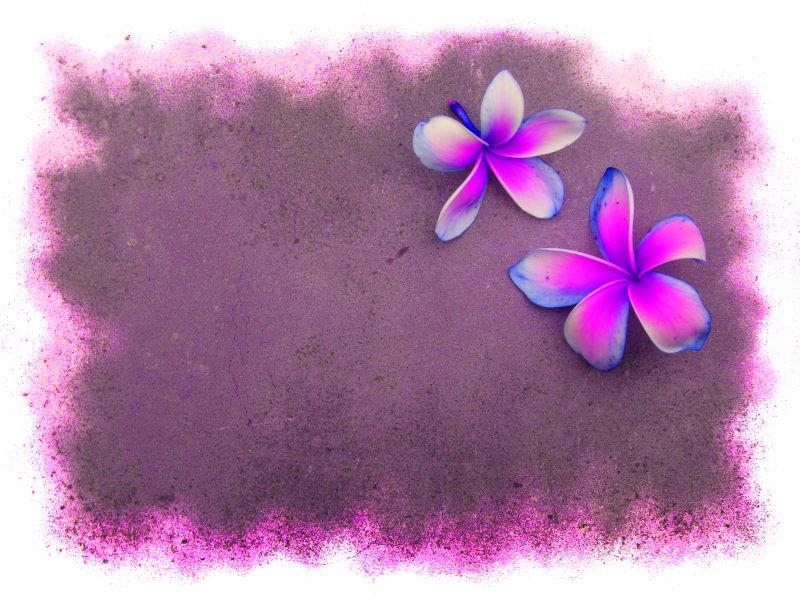紫色花朵的背景