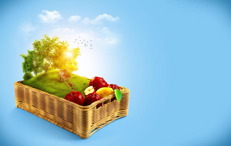夏季拼贴篮子里的新鲜水果和农场