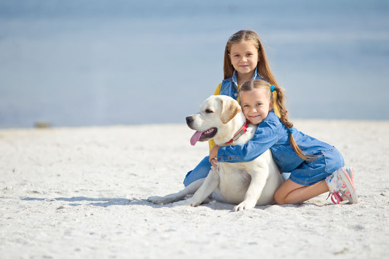 海滩上的女孩和狗