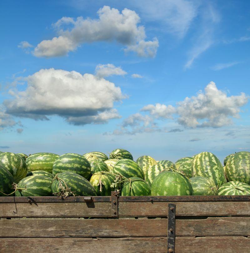 蓝天下农贸市场的西瓜
