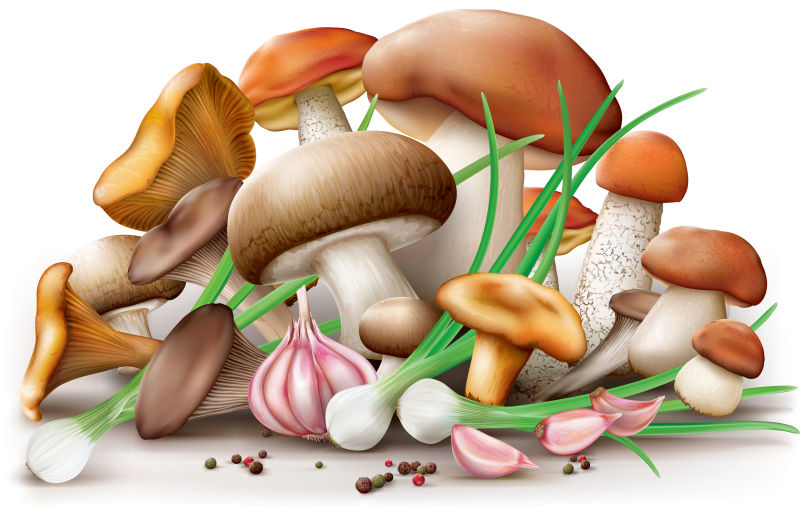 一堆新鲜的矢量卡通蘑菇