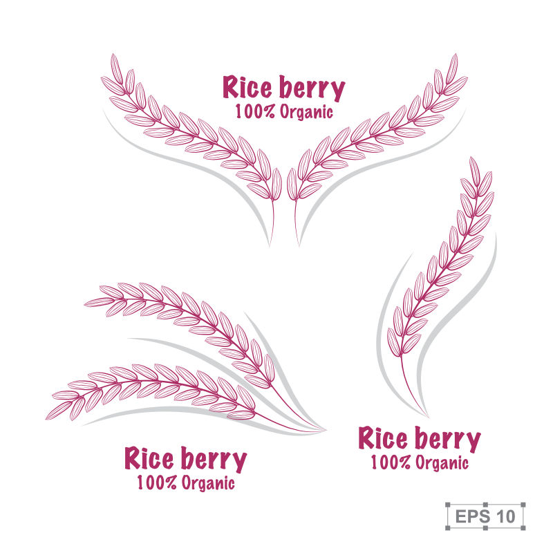 粉色的水稻插图矢量设计