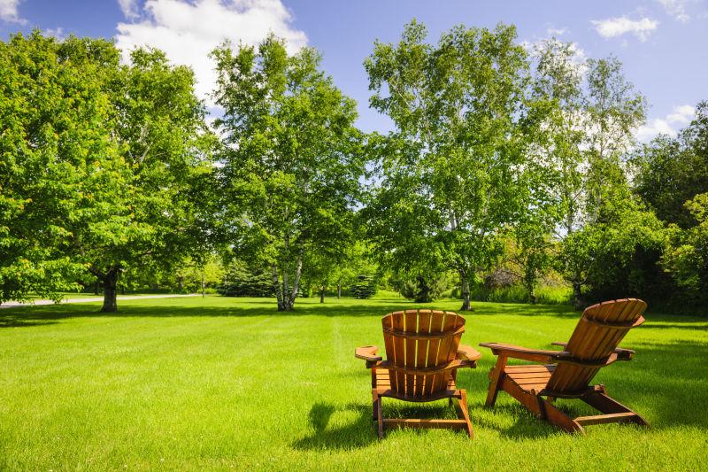 树木葱郁的草坪上的两把木椅