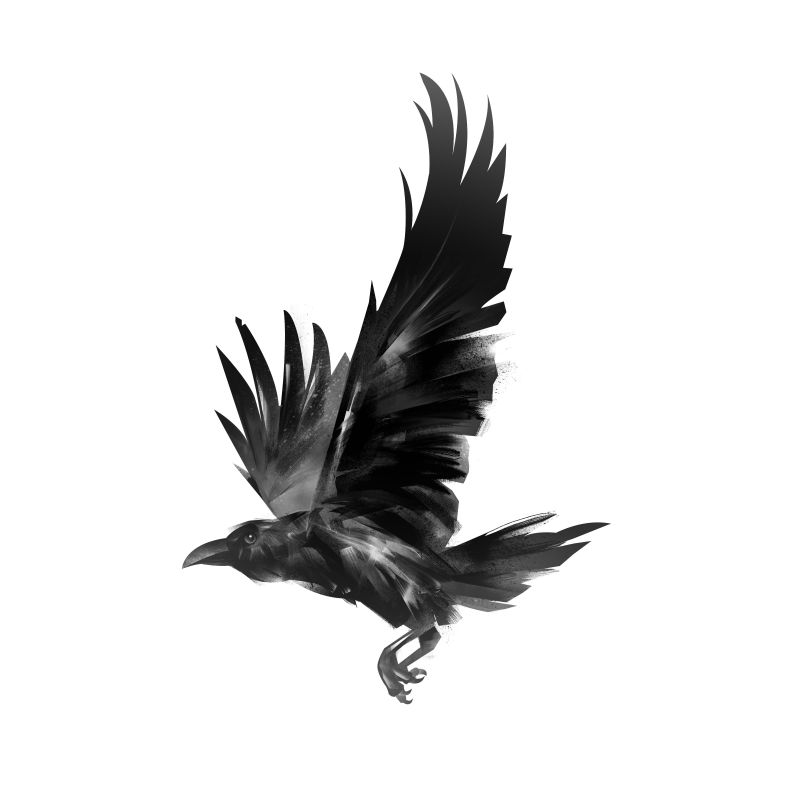 黑白彩绘乌鸦