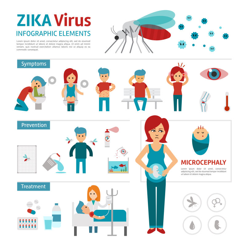 蚊子携带的病毒矢量信息图