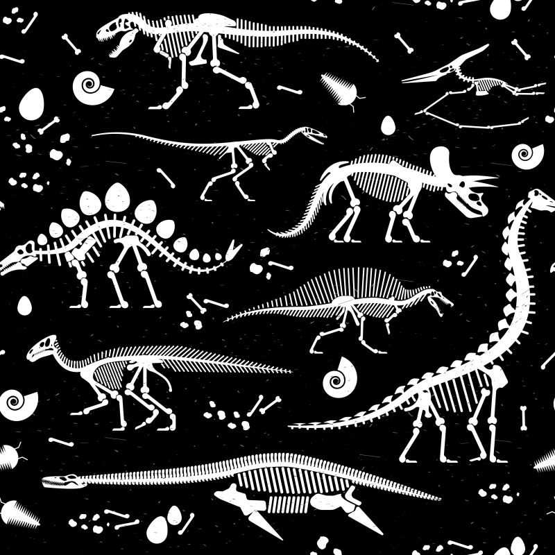 矢量恐龙化石的创意插图