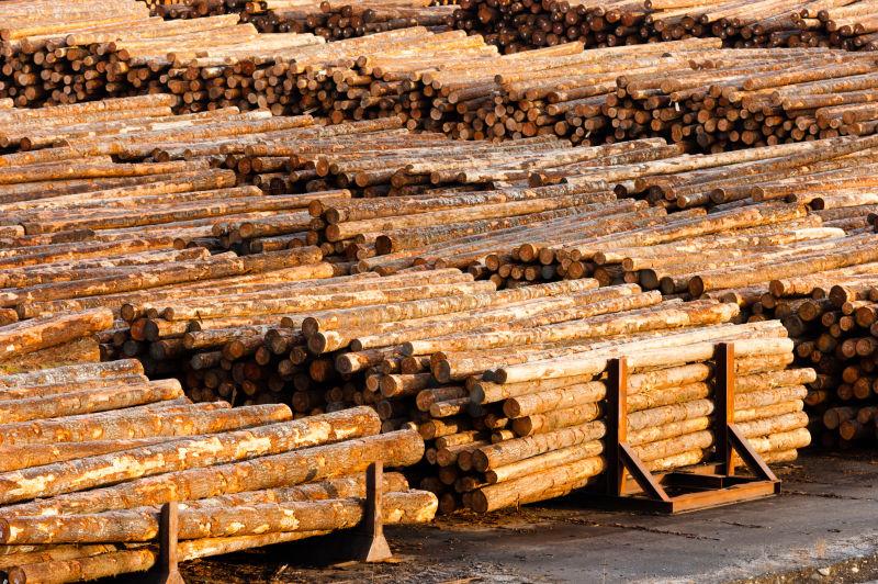 木材厂排列整齐的木材